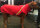 Infrarot-Ganzjahres-Hundemantel wasserdicht atmungsaktiv Reflexstreifen 100 cm