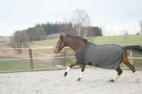 Infrarot-Abschwitzdecke CeraTex-Fleece mit abnehmbaren Gurten 135 cm