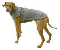 Infrarot-Ganzjahres-Hundemantel - Standard -  75 cm grau