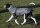 Infrarot-Ganzjahres-Hundemantel wasserdicht atmungsaktiv 90 cm